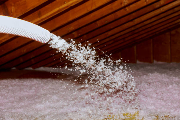 Best Eco-Friendly Insulation in Hebron, KY