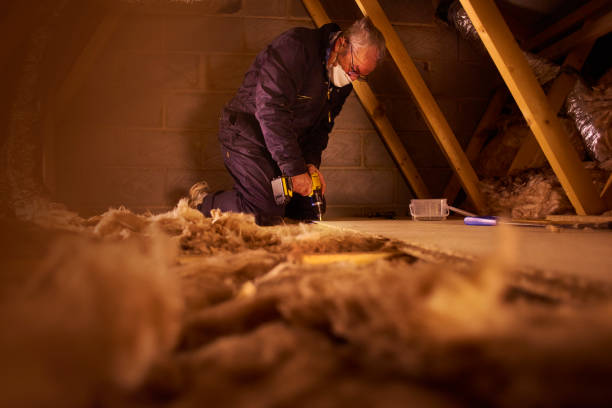 Best Insulation Maintenance and Repair in Hebron, KY