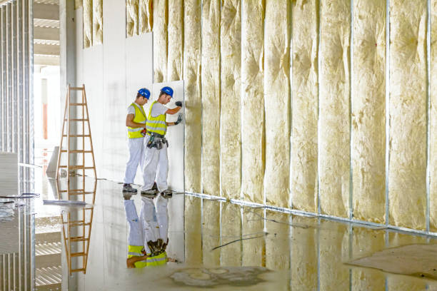Best Fiberglass Insulation in Hebron, KY